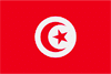 Tunisia Flag Thumbnail